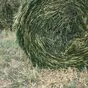 сенаж зерновой в Пскове и Псковской области 4
